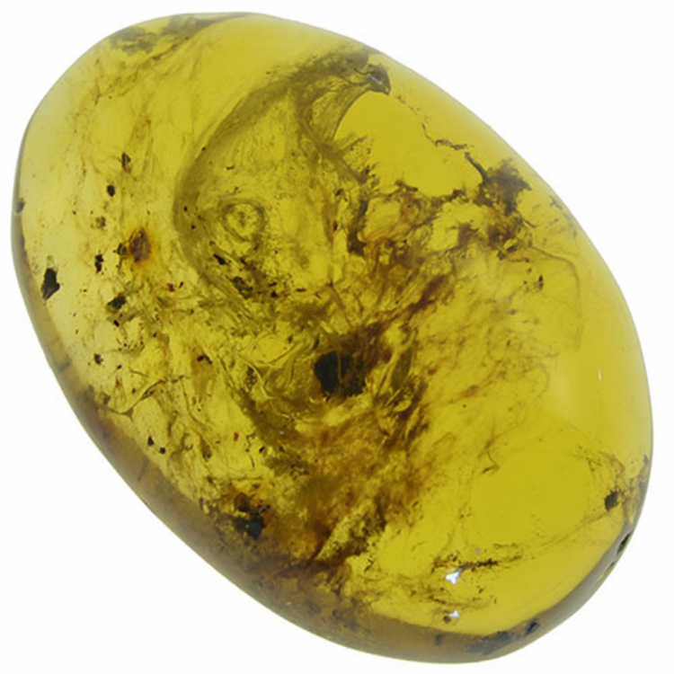 8.75ct Amber cabochon oval 22x16mm