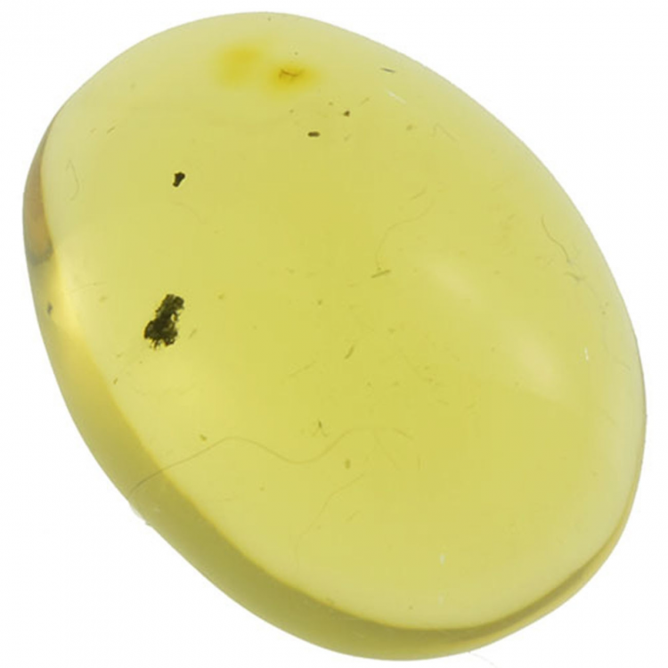 4.19ct Ambre cabochon ovale 16x14mm