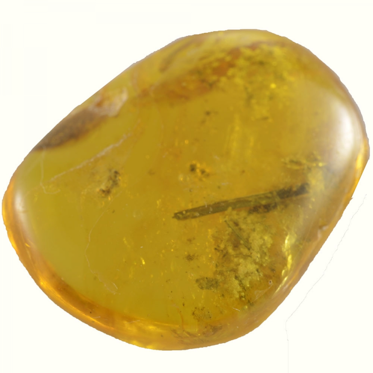 15.58ct Baltic Amber with insect cabochon 26x21mm