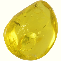 10.28ct Ambre Baltique avec cabochon d'insecte 22x15mm