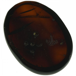 5.02ct Ambra cabochon ovale 19x14mm