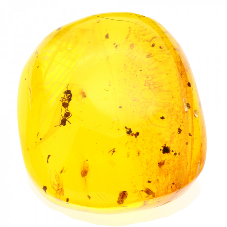 39.78ct Amber from Dominican Republic with chandelier, flies and mobile bubbles cabochon 28x25mm