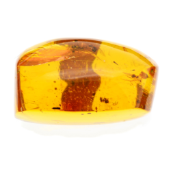 39.78ct Amber from Dominican Republic with chandelier, flies and mobile bubbles cabochon 28x25mm