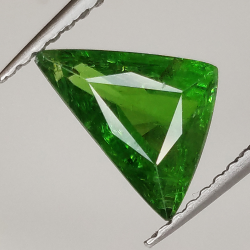 1,40 ct Granato Tsavorite verde taglio trillian 9,00x4,47mm