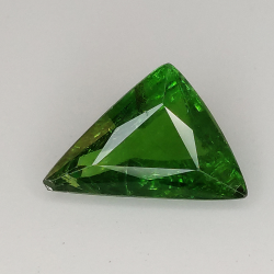 1,40 ct Granato Tsavorite verde taglio trillian 9,00x4,47mm