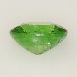 1.27ct Granato Tsavorite Taglio ovale 6.97x6.10mm