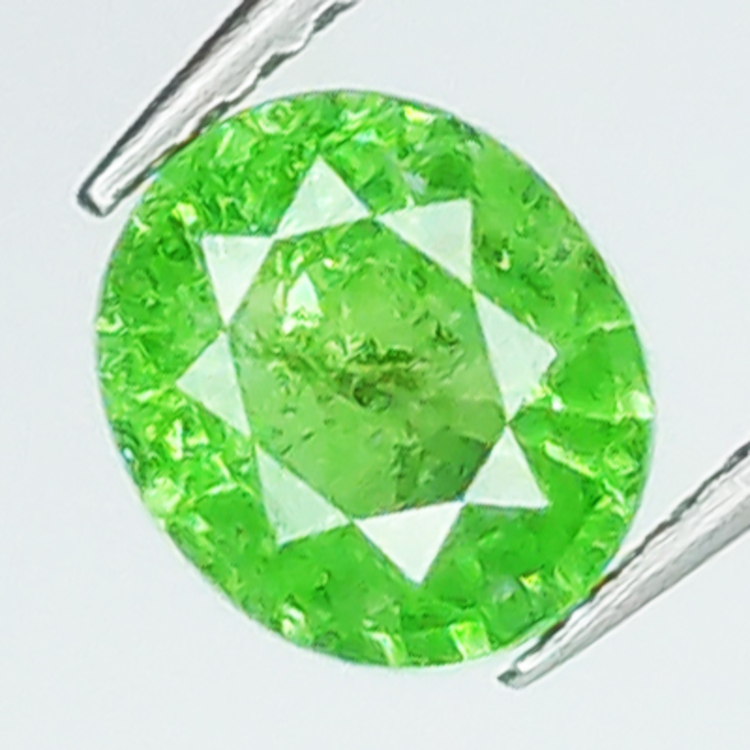 1.27ct Grenat Tsavorite Taille ovale 6.97x6.10mm