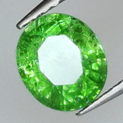 1.27ct Granato Tsavorite Taglio ovale 6.97x6.10mm