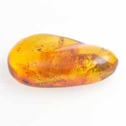 13.87ct Amber with insect cabochon 31.14 x 16.7mm