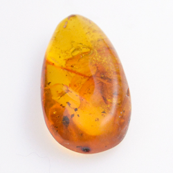 13.87ct Amber with insect cabochon 31.14 x 16.7mm