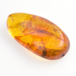 13.87ct Amber with insect cabochon 31.14 x 16.7mm