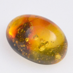 3.6ct Ambre avec insecte cabochon