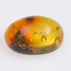 3.6ct Ambre avec insecte cabochon