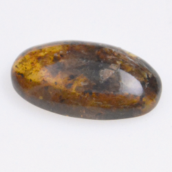 4.1ct Ambre avec insecte cabochon