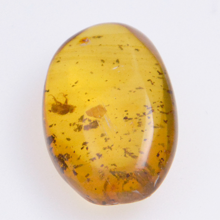 6.30ct Amber with cabochon insect