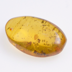 6.30ct Amber with cabochon insect