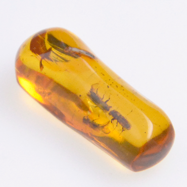 4.55ct Amber with insect cabochon 21.37x8.26mm