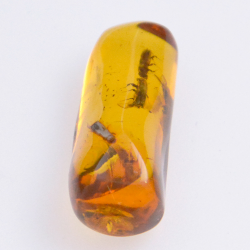 4.55ct Amber with insect cabochon 21.37x8.26mm