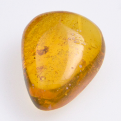 Ambre 11,33ct avec cabochon insecte 23,5x17,5mm