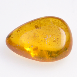 Ambre 11,33ct avec cabochon insecte 23,5x17,5mm