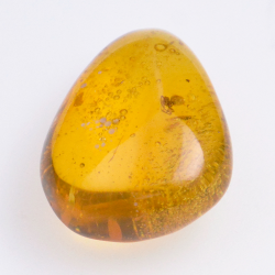 Ambre 11,33ct avec cabochon insecte 23,5x17,5mm