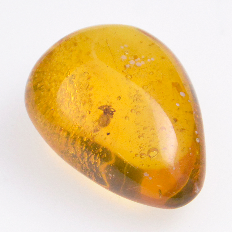 11.33ct Amber with insect cabochon 23.5x17.5mm