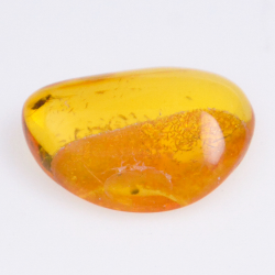 4.55ct Amber with insect cabochon 21.37x8.26mm