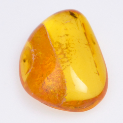 4.55ct Amber with insect cabochon 21.37x8.26mm