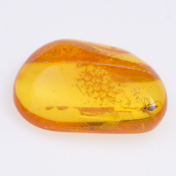 4,55 ct Bernstein mit Insekten-Cabochon 21,37 x 8,26 mm