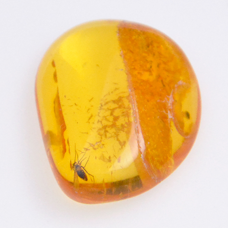 Ambre 4,55ct avec cabochon insecte 21,37x8,26mm