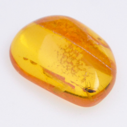 Ambre 4,55ct avec cabochon insecte 21,37x8,26mm