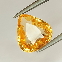 2,99 ct Hessonit-Granat im Birnenschliff, 10,09 x 9,50 mm