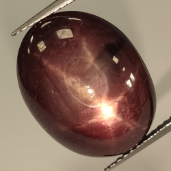 Cabochon ovale Rubis étoilé 19.14ct, 16.97x13.09mm