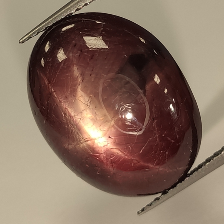 Cabochon ovale Rubis étoilé 19.14ct, 16.97x13.09mm