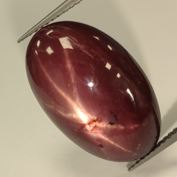 Cabochon ovale Rubis étoilé 25,35 ct 25,35x12,93 mm