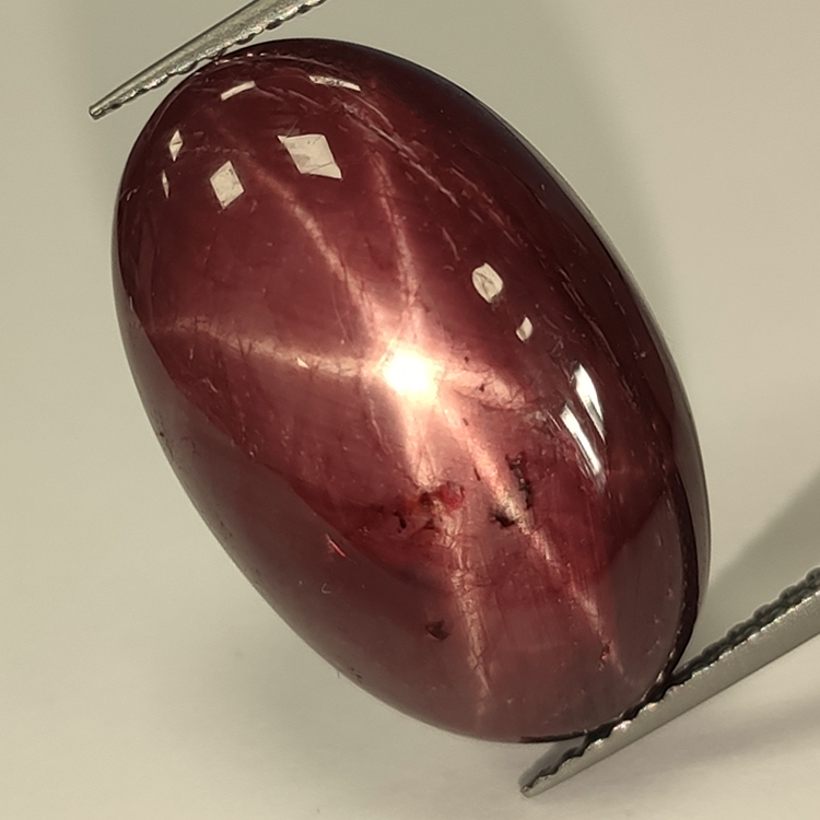 Cabochon ovale Rubis étoilé 25,35 ct 25,35x12,93 mm