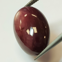 25,35 ct ovaler Sternrubin-Cabochon, 25,35 x 12,93 mm