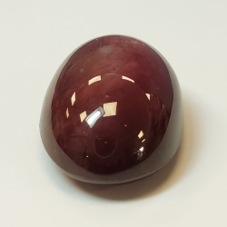 Cabochon ovale Rubis étoilé 42,80 ct 23,50x15,64 mm