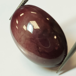 Cabochon ovale con rubino stellato da 42,80 ct, 23,50x15,64 mm