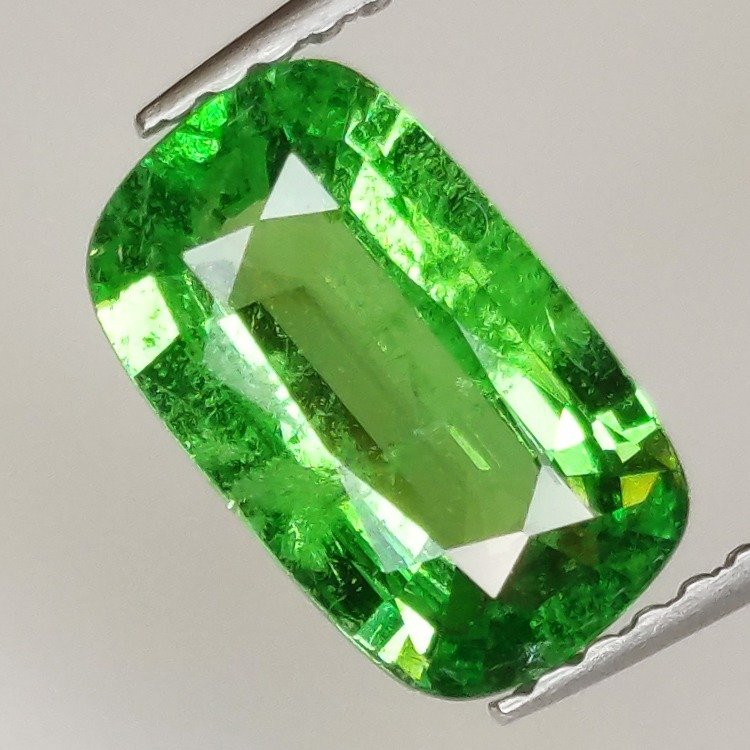 Taglio a cuscino in tsavorite verde da 1,64 ct, 9,95 x 5,95 mm