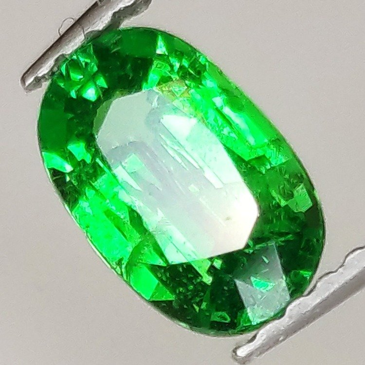 1.04ct Green Tsavorite Oval Cut 7.80x4.97mm