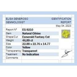 46.89ct Cuarzo limón talla oval 22.88 x 22.76 mm