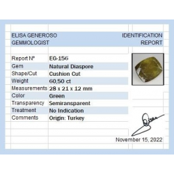 Taglio a cuscino della diaspora da 60,50 ct, 8,82 x 6,35 mm