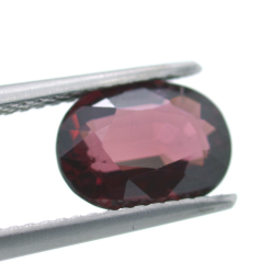 2,74ct Rodolite Oval Schnitt