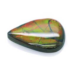 15,17ct Ammolite Double