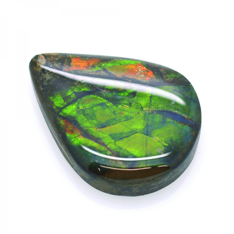 15,03ct Ammolite Double