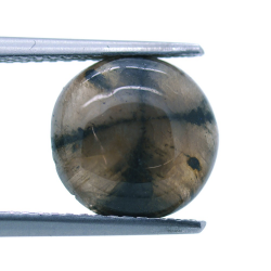 4,25 ct. Quiastolite Cabochon