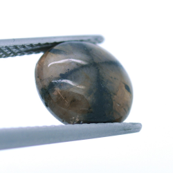 4,25 ct. Quiastolite Cabochon Cut