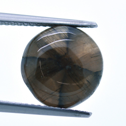 7,70 ct. Quiastolite Cabochon