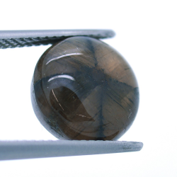 7,70 ct. Quiastolite Cabochon